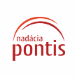 logo_pontis_110_110